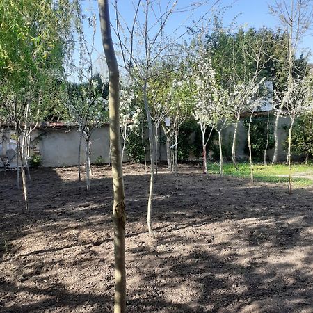 Chambres D'Hotes Gobillon Maintenon Exterior foto