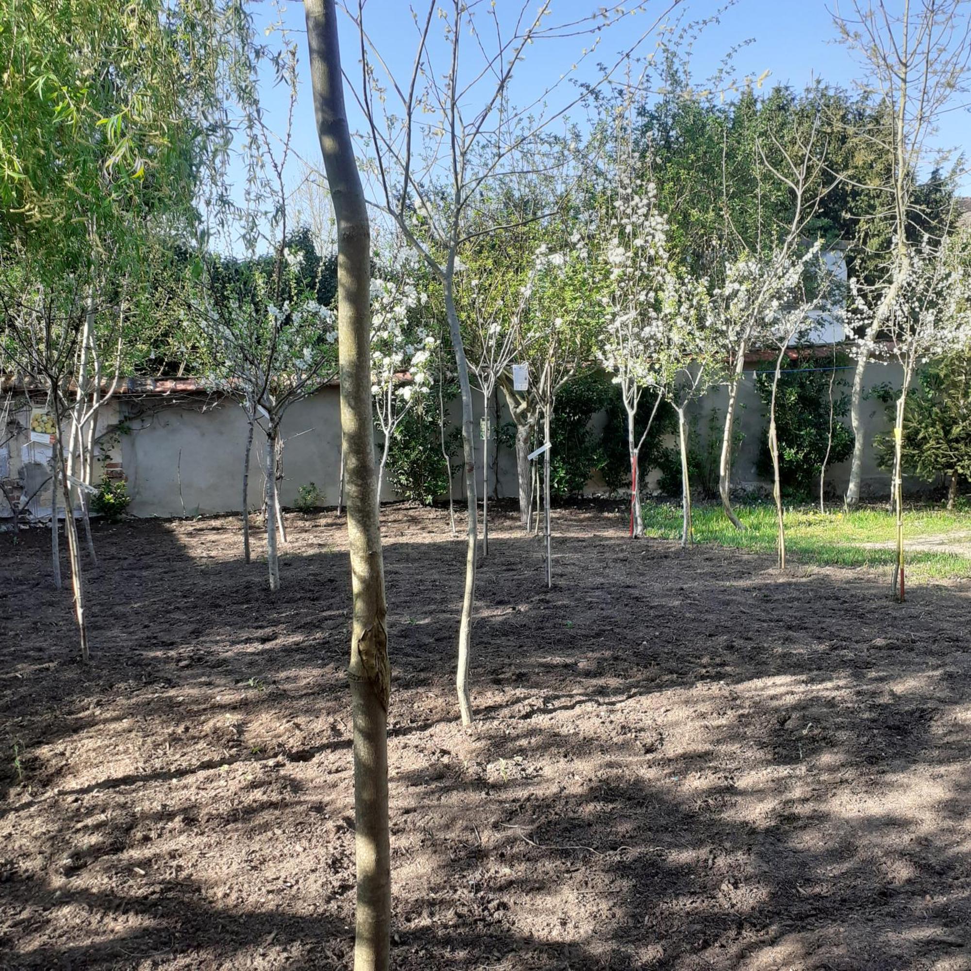 Chambres D'Hotes Gobillon Maintenon Exterior foto