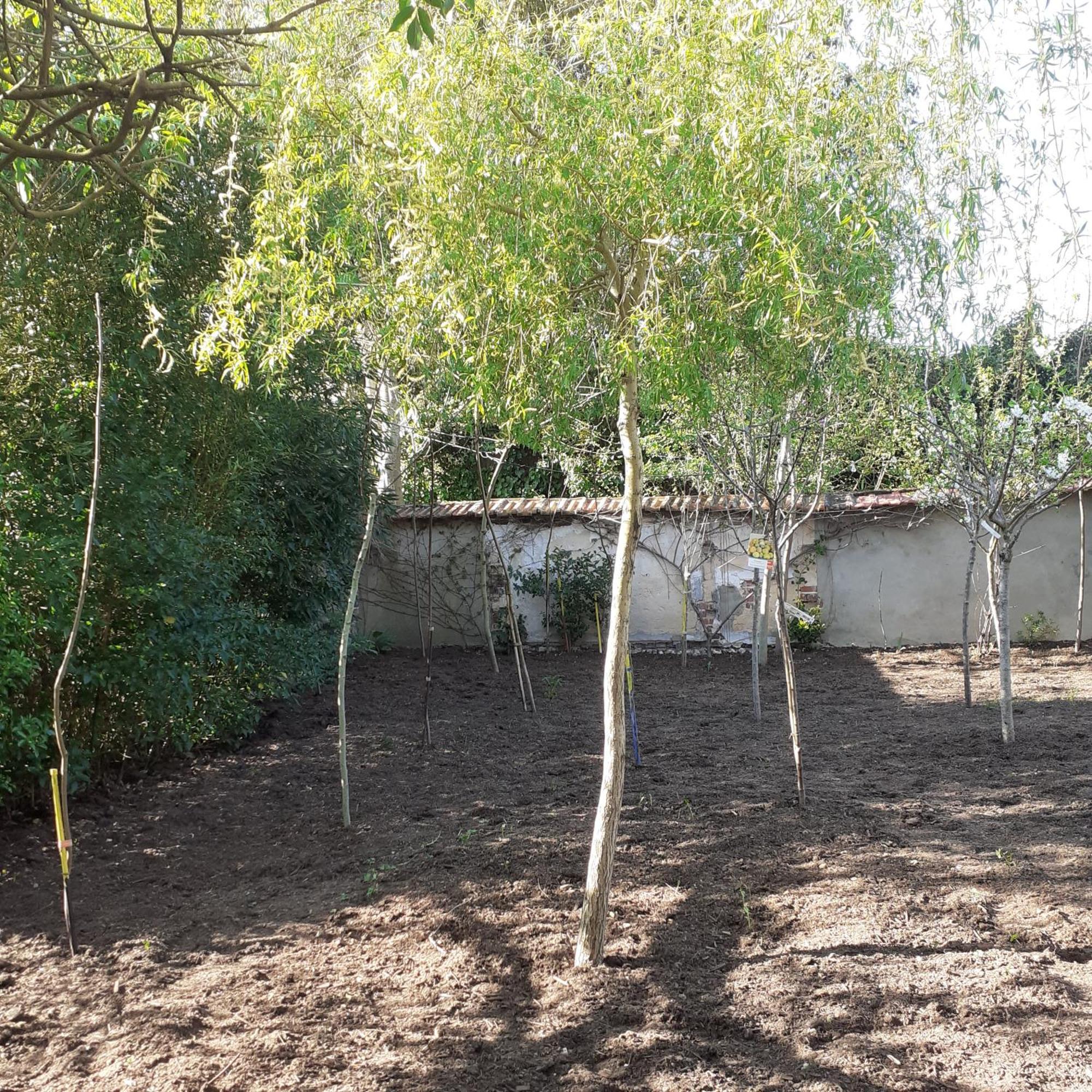 Chambres D'Hotes Gobillon Maintenon Exterior foto